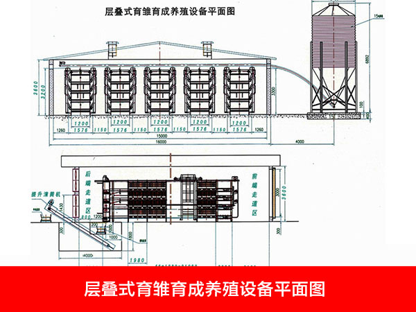 層疊式育雛育成養(yǎng)殖設(shè)備平面圖